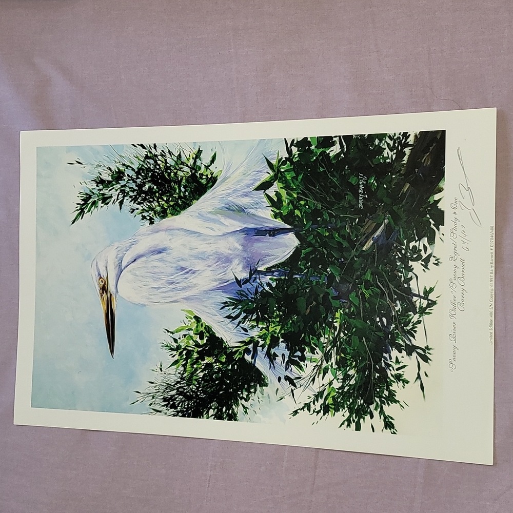 Snowy River Walker - Snowy Egret - Study #One - Limited Edition Print
